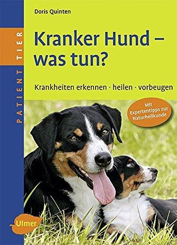 Kranker Hund - was tun?