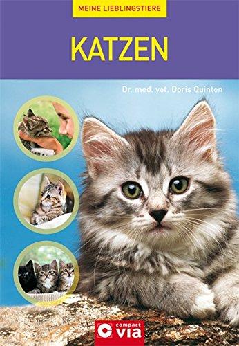 Katzen