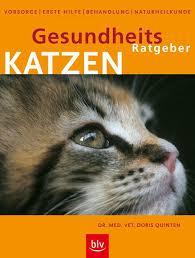 Gesundheitsratgeber Katze